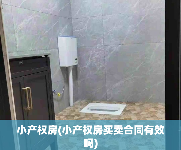 小产权房(小产权房买卖合同有效吗)