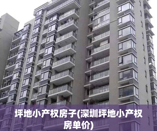 坪地小产权房子(深圳坪地小产权房单价)