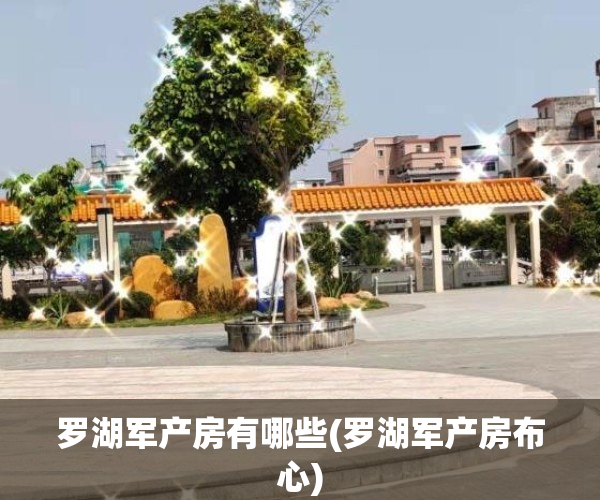 罗湖军产房有哪些(罗湖军产房布心)
