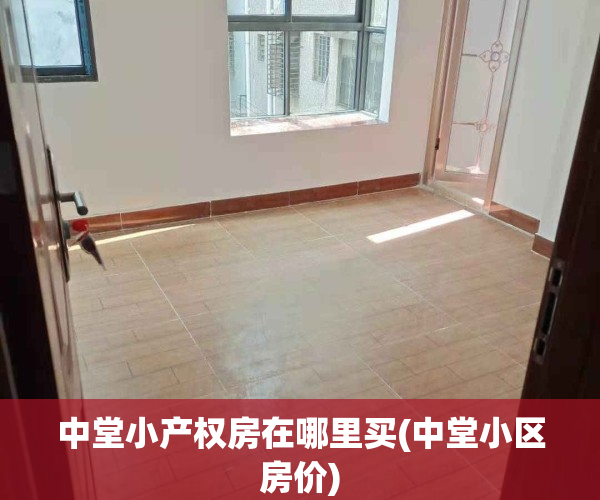 中堂小产权房在哪里买(中堂小区房价)