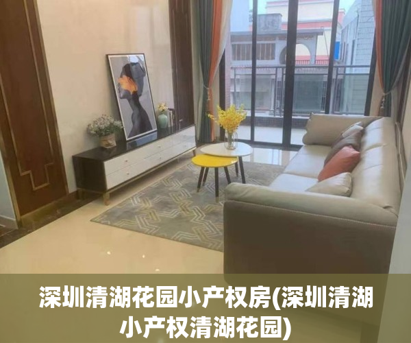 深圳清湖花园小产权房(深圳清湖小产权清湖花园)
