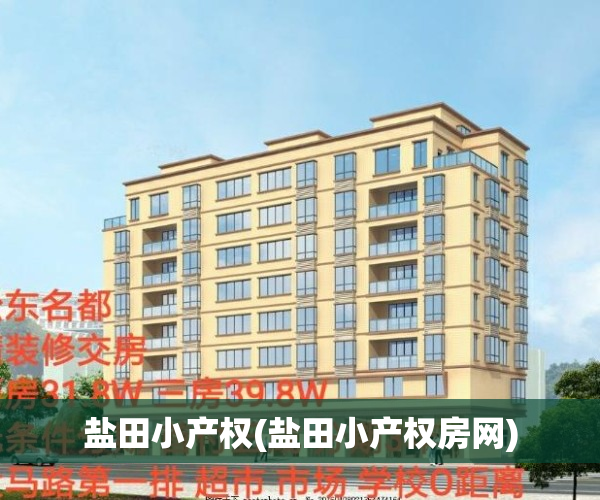 盐田小产权(盐田小产权房网)