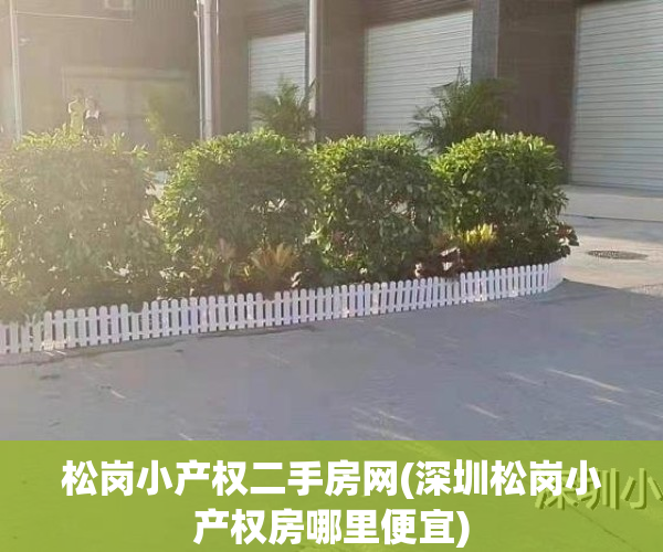 松岗小产权二手房网(深圳松岗小产权房哪里便宜)