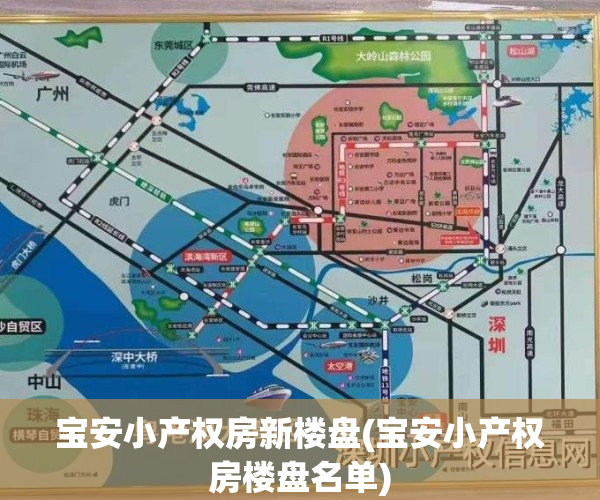 宝安小产权房新楼盘(宝安小产权房楼盘名单)