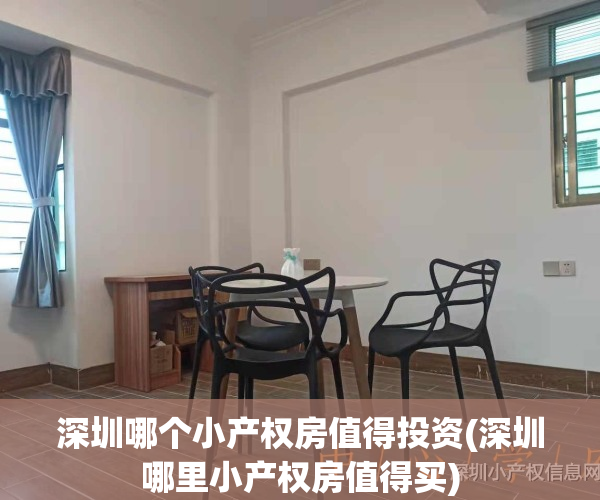 深圳哪个小产权房值得投资(深圳哪里小产权房值得买)