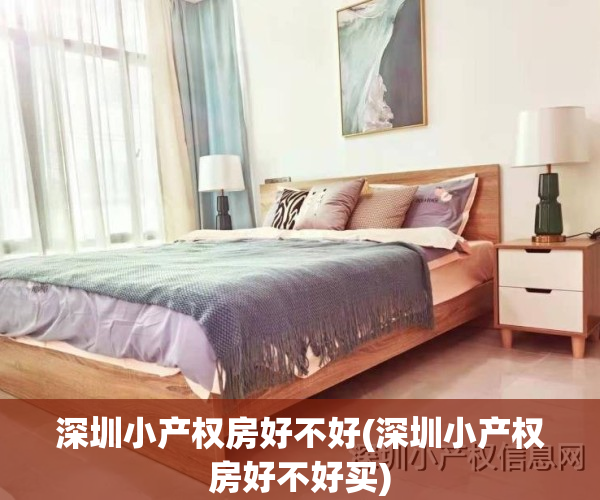 深圳小产权房好不好(深圳小产权房好不好买)