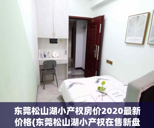 东莞松山湖小产权房价2020最新价格(东莞松山湖小产权在售新盘)