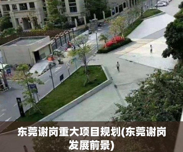 东莞谢岗重大项目规划(东莞谢岗发展前景)