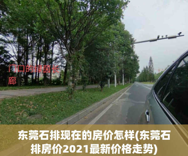 东莞石排现在的房价怎样(东莞石排房价2021最新价格走势)