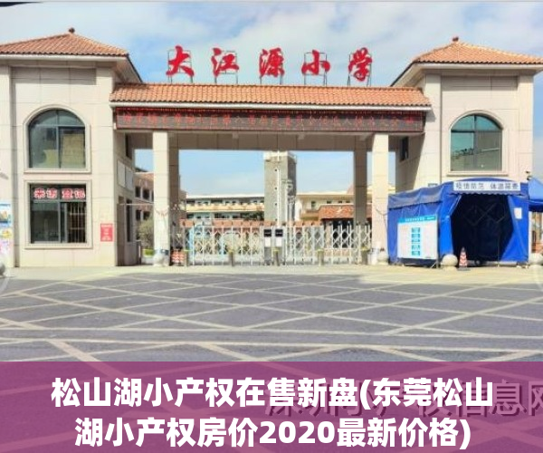 松山湖小产权在售新盘(东莞松山湖小产权房价2020最新价格)