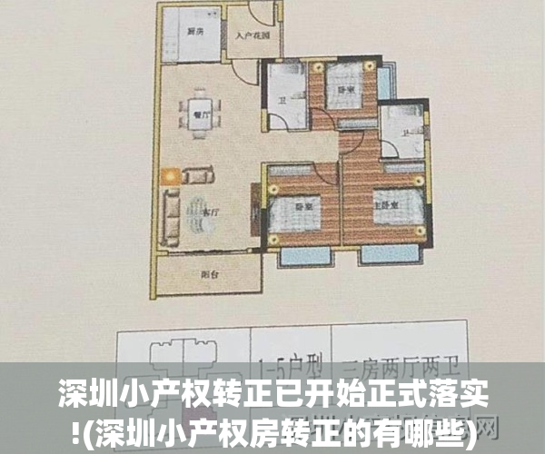 深圳小产权转正已开始正式落实!(深圳小产权房转正的有哪些)
