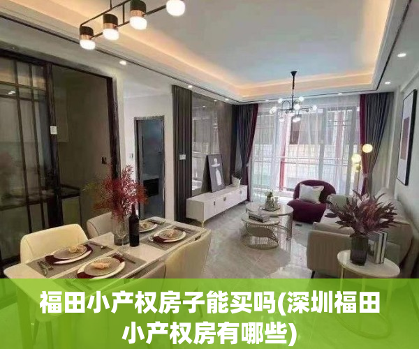 福田小产权房子能买吗(深圳福田小产权房有哪些)