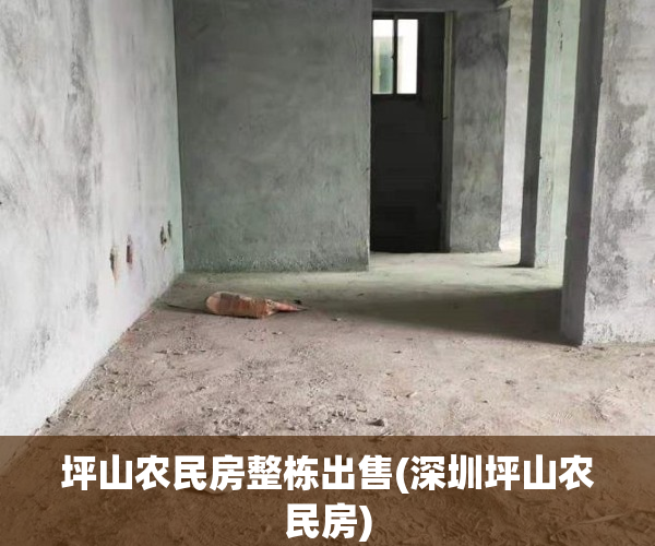 坪山农民房整栋出售(深圳坪山农民房)