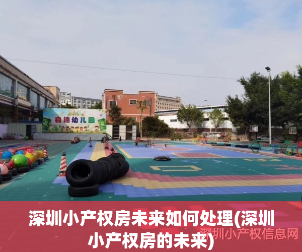 深圳小产权房未来如何处理(深圳小产权房的未来)