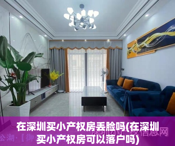 在深圳买小产权房丢脸吗(在深圳买小产权房可以落户吗)