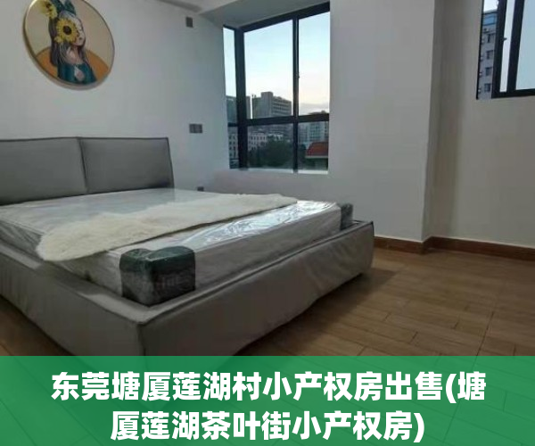 东莞塘厦莲湖村小产权房出售(塘厦莲湖茶叶街小产权房)