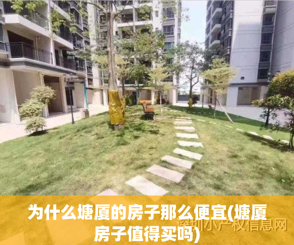 为什么塘厦的房子那么便宜(塘厦房子值得买吗)