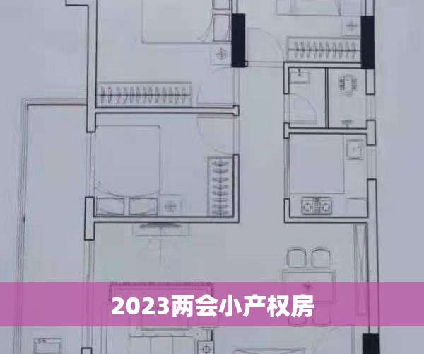 2023两会小产权房