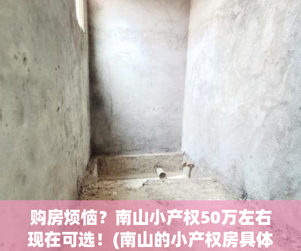 购房烦恼？南山小产权50万左右现在可选！(南山的小产权房具体有哪些)