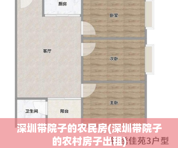 深圳带院子的农民房(深圳带院子的农村房子出租)
