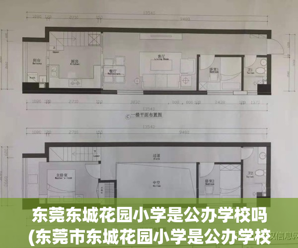 东莞东城花园小学是公办学校吗(东莞市东城花园小学是公办学校吗)