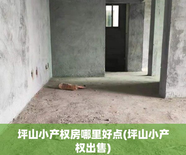 坪山小产权房哪里好点(坪山小产权出售)