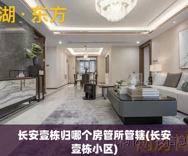 长安壹栋归哪个房管所管辖(长安壹栋小区)