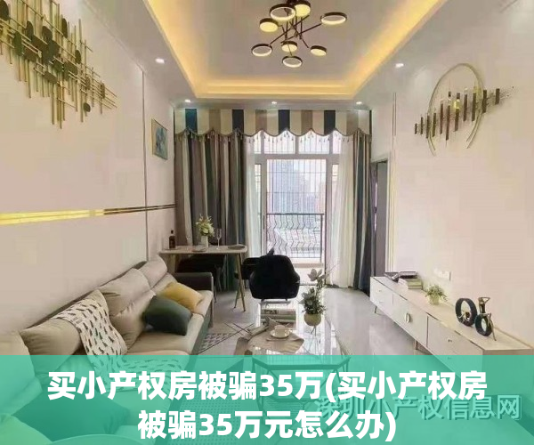 买小产权房被骗35万(买小产权房被骗35万元怎么办)