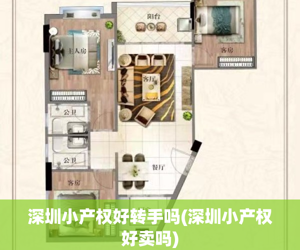 深圳小产权好转手吗(深圳小产权好卖吗)