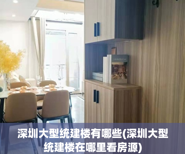 深圳大型统建楼有哪些(深圳大型统建楼在哪里看房源)