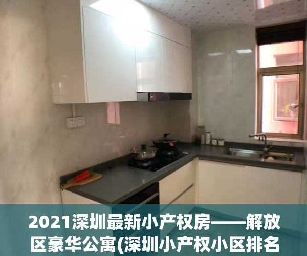 2021深圳最新小产权房——解放区豪华公寓(深圳小产权小区排名)