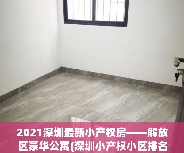 2021深圳最新小产权房——解放区豪华公寓(深圳小产权小区排名)