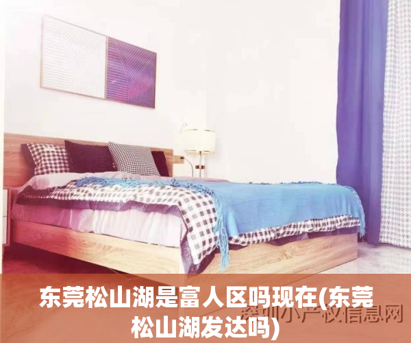 东莞松山湖是富人区吗现在(东莞松山湖发达吗)