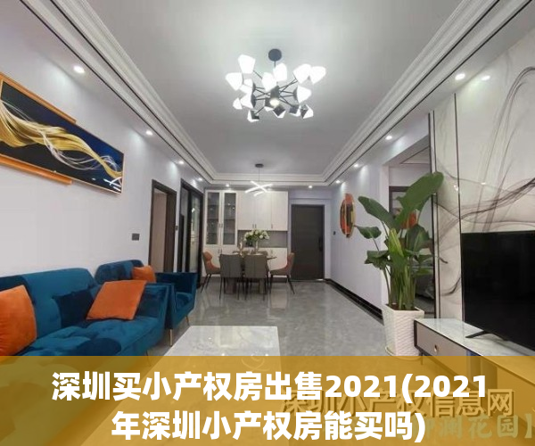 深圳买小产权房出售2021(2021年深圳小产权房能买吗)