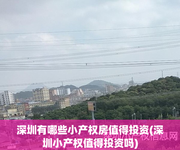 深圳有哪些小产权房值得投资(深圳小产权值得投资吗)