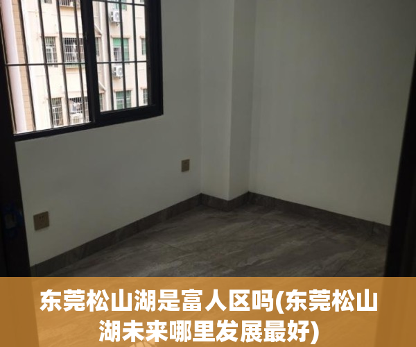 东莞松山湖是富人区吗(东莞松山湖未来哪里发展最好)