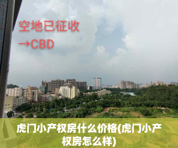虎门小产权房什么价格(虎门小产权房怎么样)
