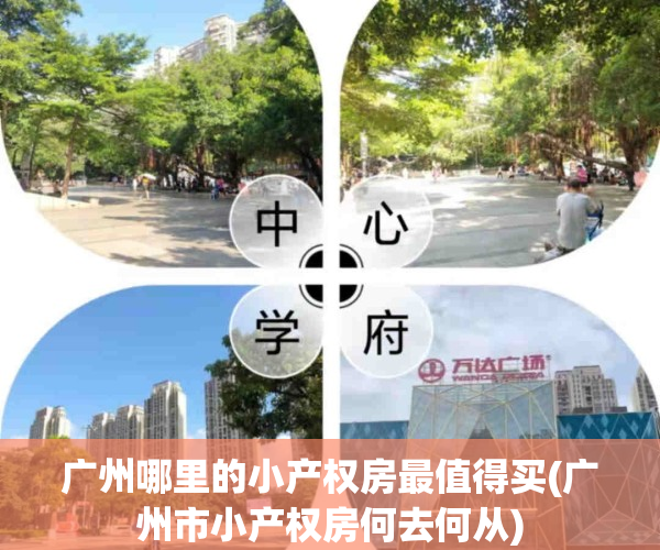 广州哪里的小产权房最值得买(广州市小产权房何去何从)