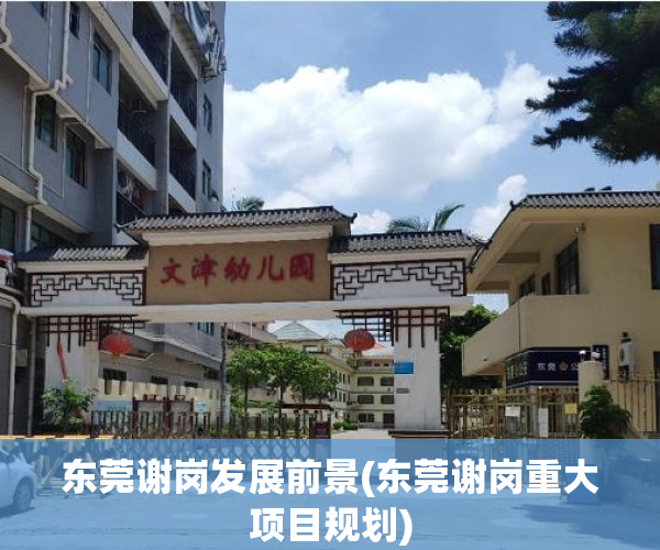 东莞谢岗发展前景(东莞谢岗重大项目规划)