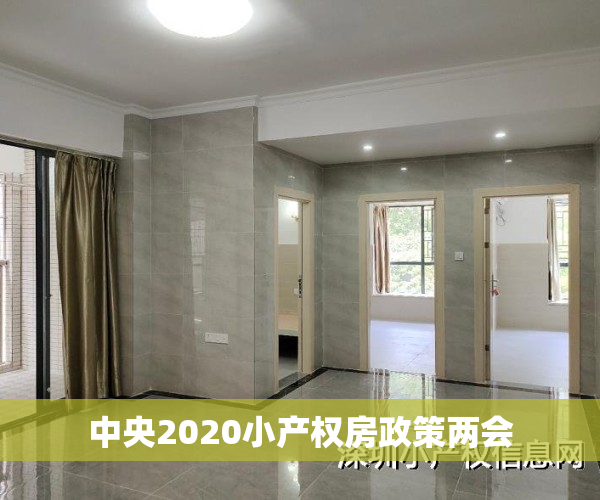 中央2020小产权房政策两会
