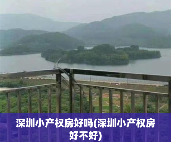 深圳小产权房好吗(深圳小产权房好不好)