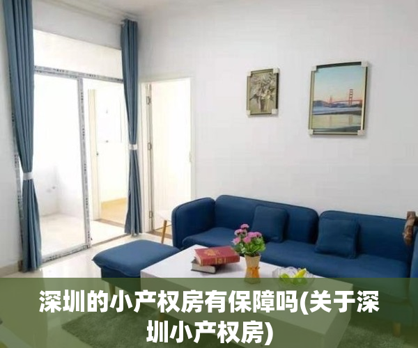 深圳的小产权房有保障吗(关于深圳小产权房)
