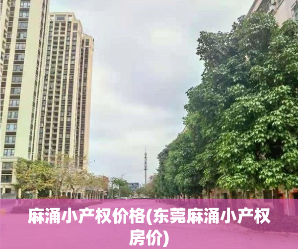 麻涌小产权价格(东莞麻涌小产权房价)