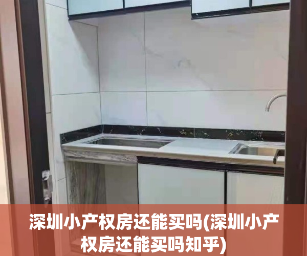 深圳小产权房还能买吗(深圳小产权房还能买吗知乎)