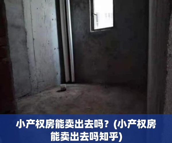 小产权房能卖出去吗?(小产权房能卖出去吗知乎)