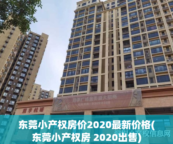 东莞小产权房价2020最新价格(东莞小产权房 2020出售)