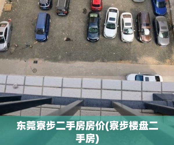 东莞寮步二手房房价(寮步楼盘二手房)