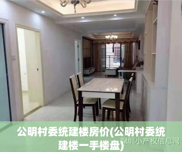 公明村委统建楼房价(公明村委统建楼一手楼盘)