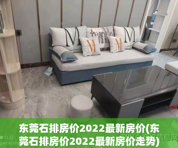 东莞石排房价2022最新房价(东莞石排房价2022最新房价走势)