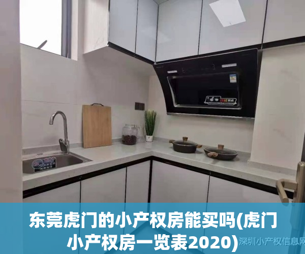 东莞虎门的小产权房能买吗(虎门小产权房一览表2020)